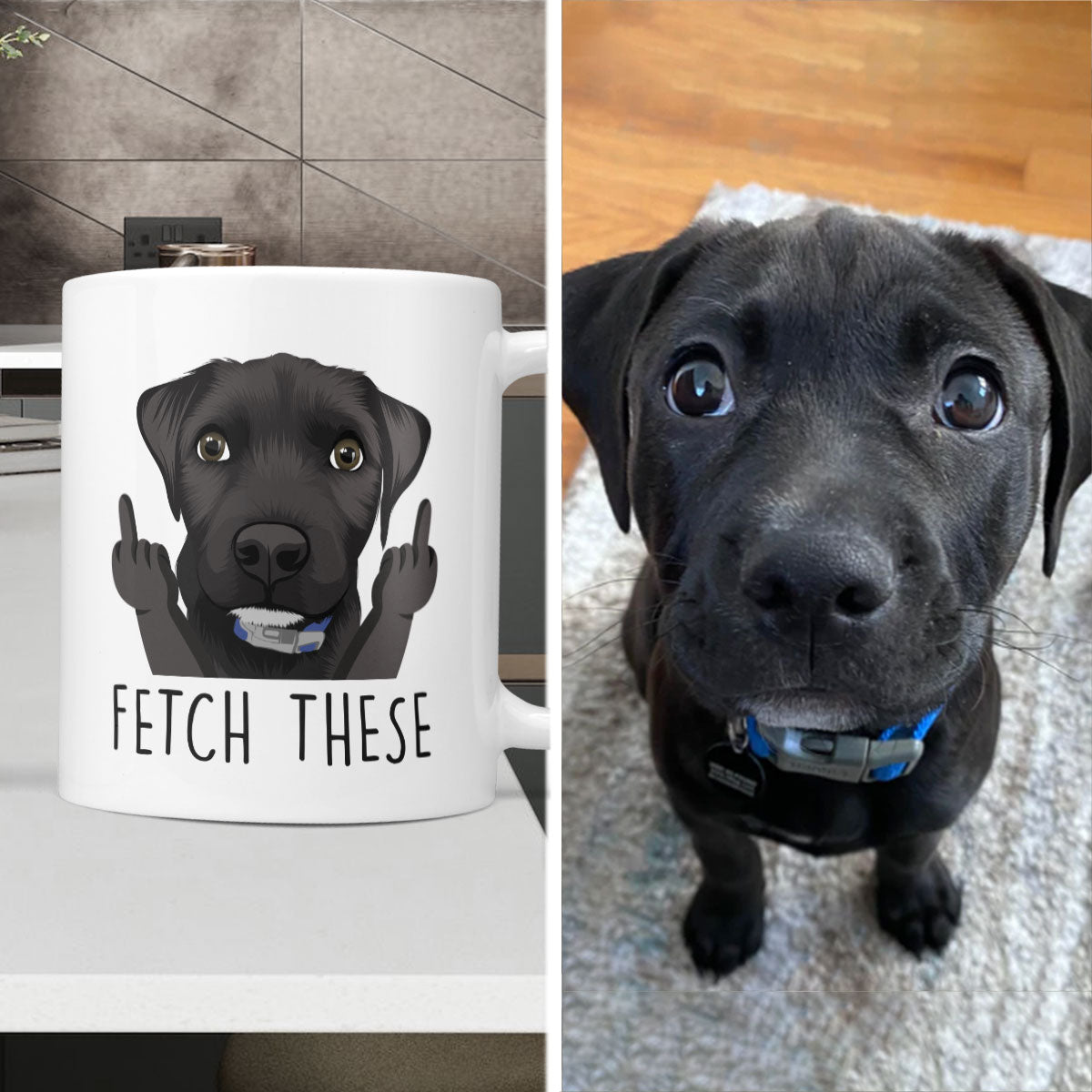 Custom "Fetch These" Funny Dog Mug